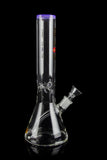 Glasslab 303 Triangle Base Beaker