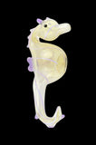 Seahorse Glass Hand Pipe