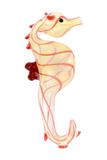 Seahorse Glass Hand Pipe