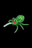 Glass Spider Hand Pipe