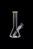 Glass Beaker Base Bong