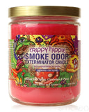 Smoke Odor Exterminator 13oz Candle